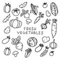 vector drawing in doodle style. set of vegetables. funny drawings in children\'s style